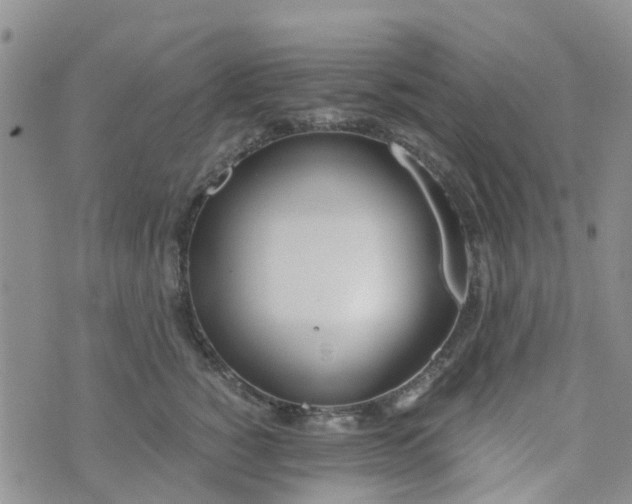 X0000073920760200609011809