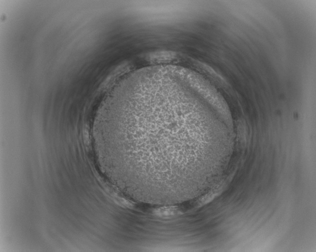 X0000073920761200609011809