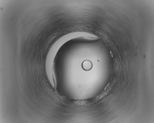 X0000073920762200609011809