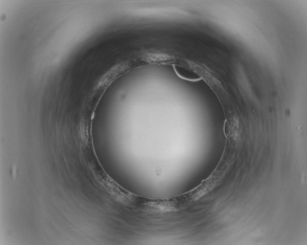 X0000073920763200609011809