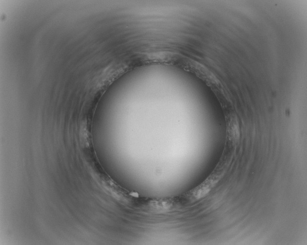 X0000073920764200609011809