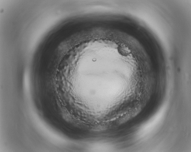 X0000073920765200609011809