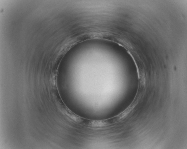 X0000073920766200609011809