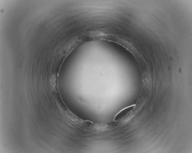 X0000073920767200609011809