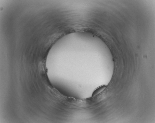 X0000073920768200609011809