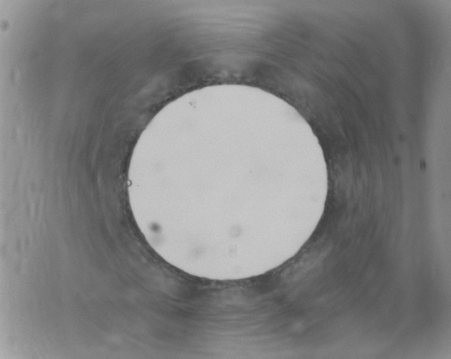 X0000073920769200609011808