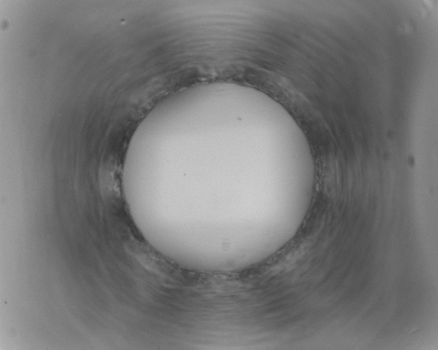 X0000073920770200609011808