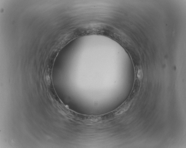 X0000073920771200609011808