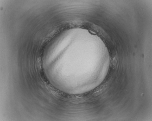 X0000073920772200609011808