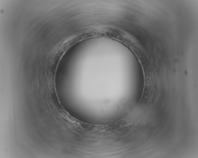 X0000073920773200609011808