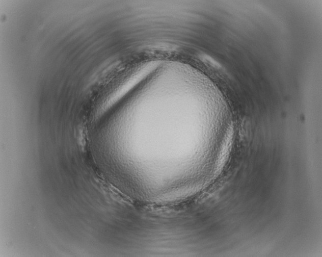 X0000073920774200609011808