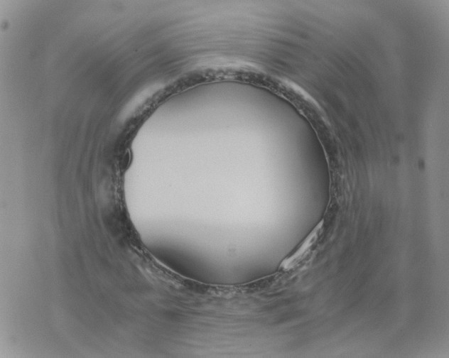 X0000073920775200609011808