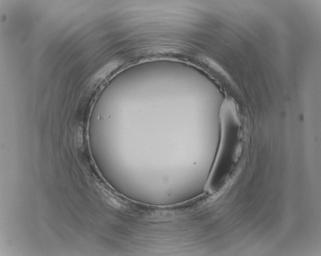 X0000073920777200609011808