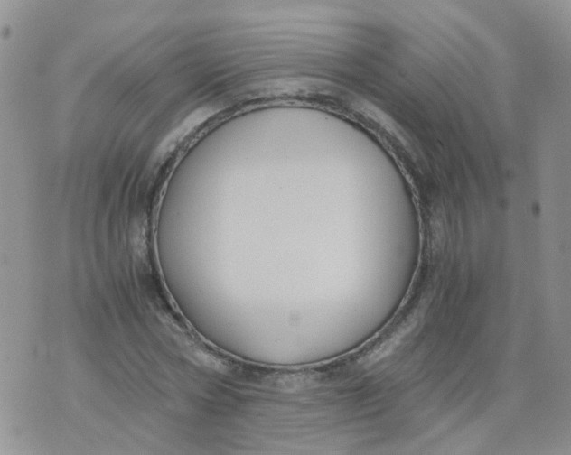 X0000073920778200609011808