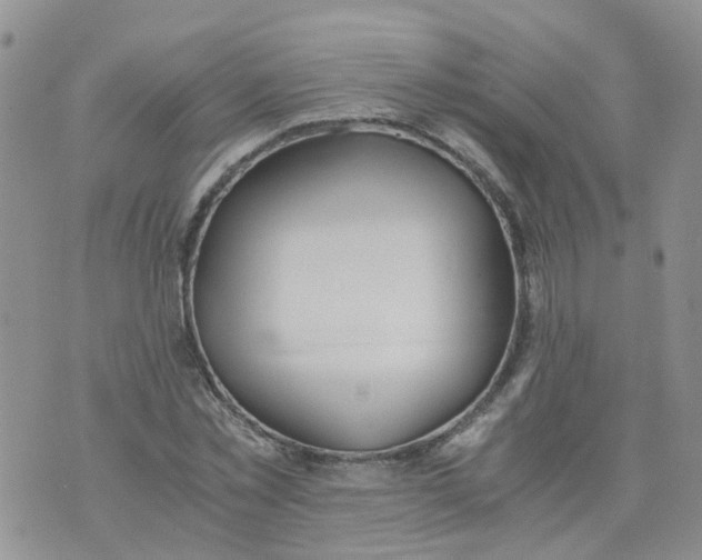 X0000073920781200609011808