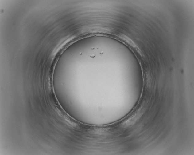 X0000073920782200609011808