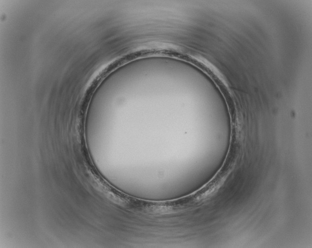 X0000073920783200609011808