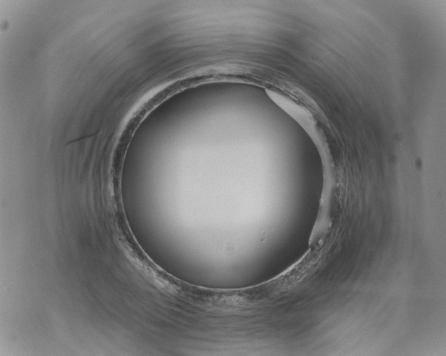 X0000073920784200609011808