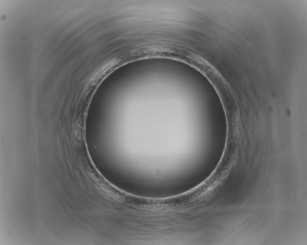 X0000073920785200609011808