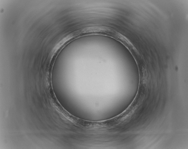 X0000073920786200609011808