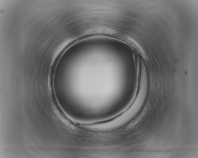 X0000073920788200609011808