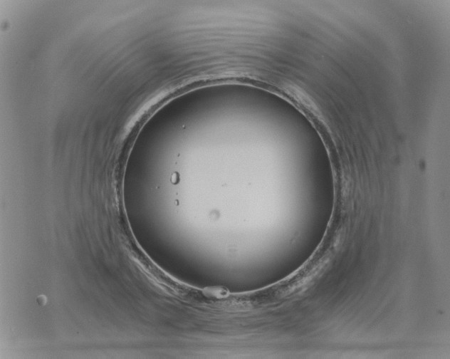 X0000073920789200609011808