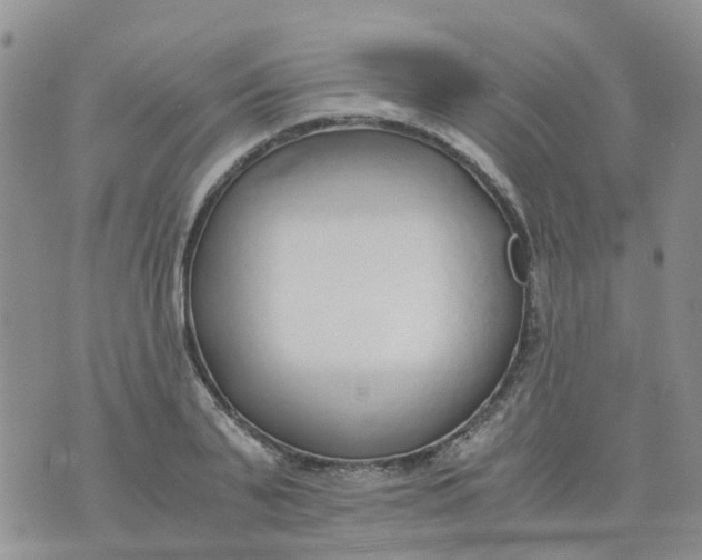 X0000073920791200609011808