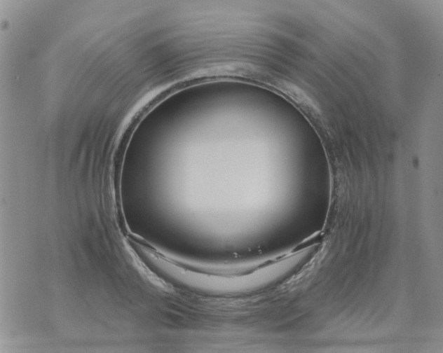 X0000073920792200609011808