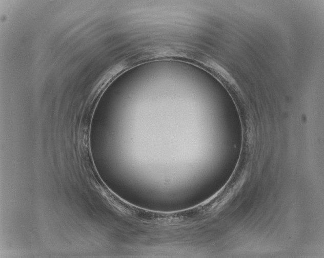 X0000073920793200609011808