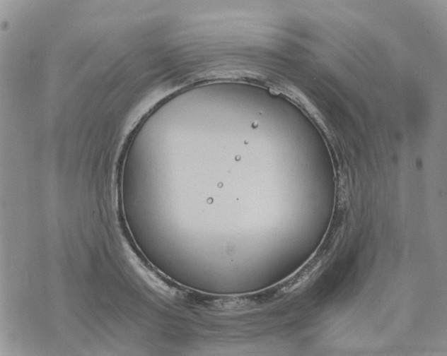 X0000073920795200609011808