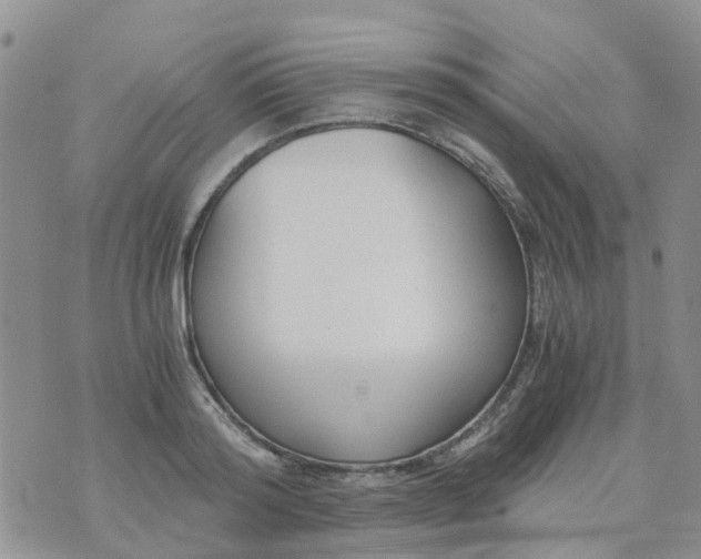 X0000073920796200609011808