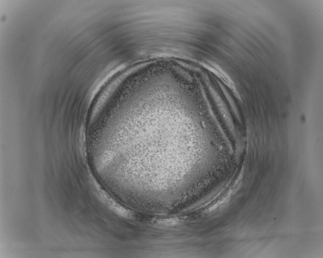 X0000073920798200609011808