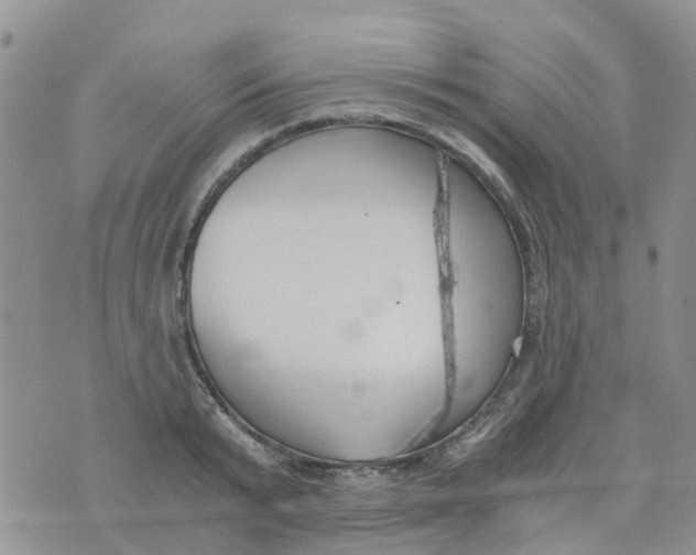 X0000073920799200609011808