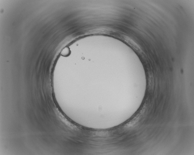 X0000073920800200609011808