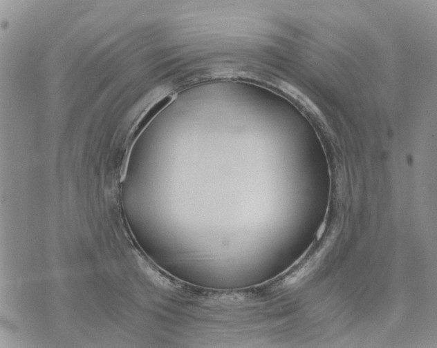 X0000073920801200609011808