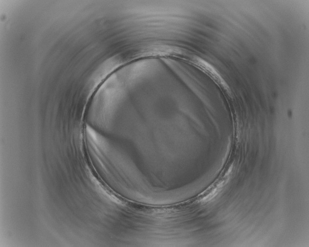 X0000073920802200609011808