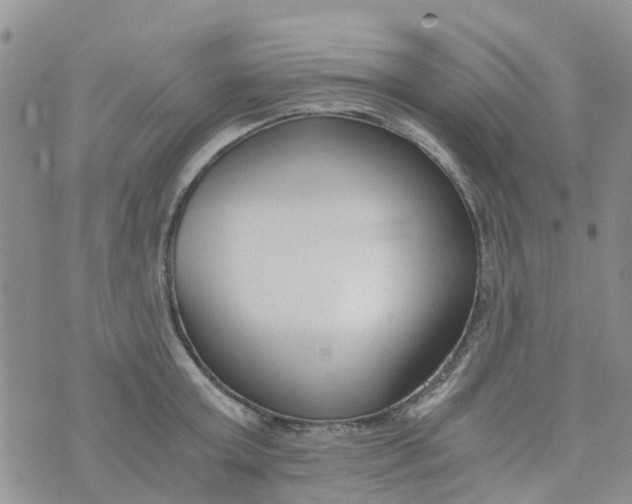 X0000073920803200609011808