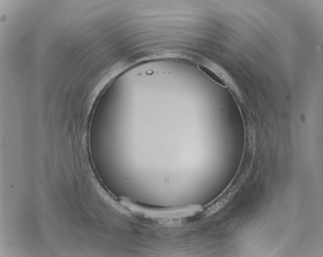 X0000073920805200609011808