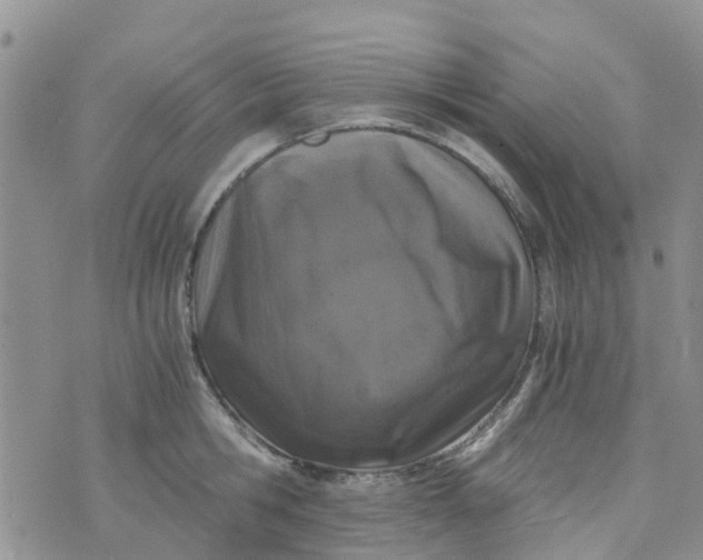 X0000073920806200609011808