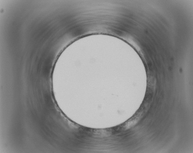 X0000073920807200609011807