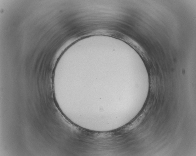 X0000073920808200609011807