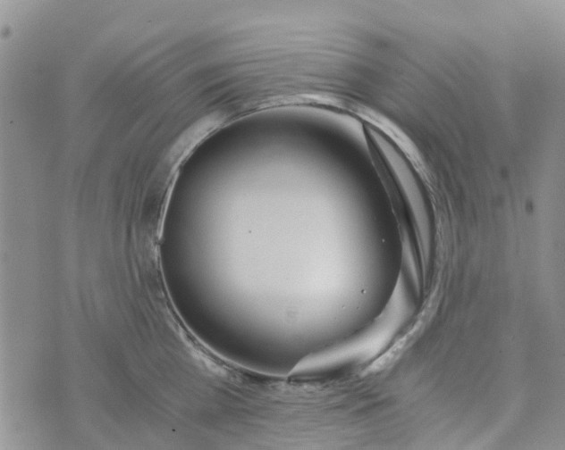 X0000073920809200609011807