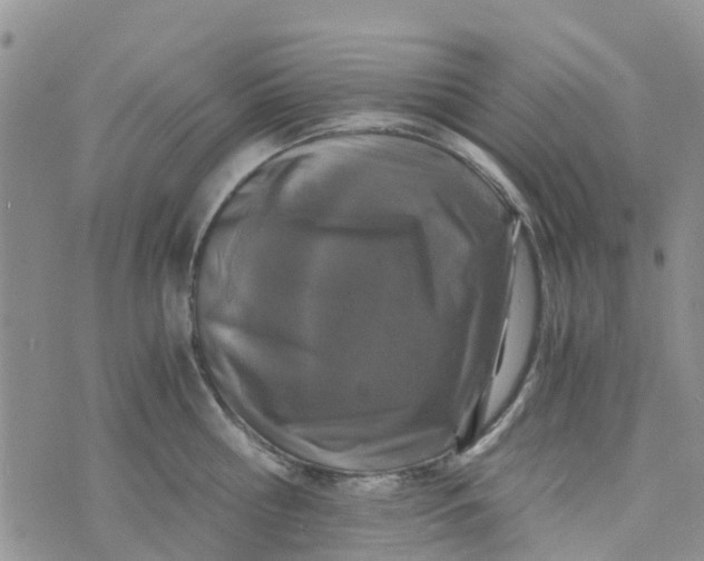 X0000073920810200609011807