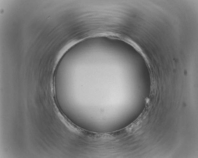 X0000073920811200609011807