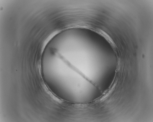 X0000073920812200609011807