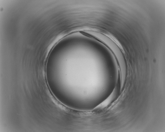 X0000073920813200609011807