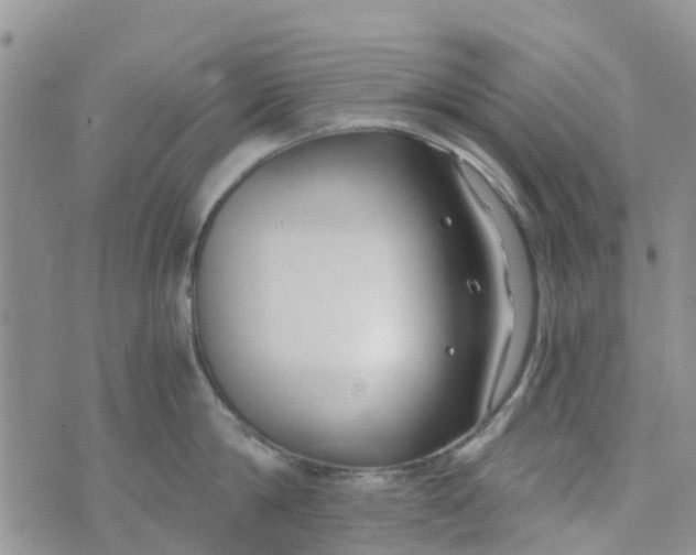 X0000073920814200609011807