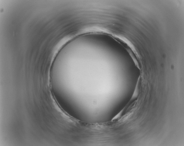 X0000073920815200609011807