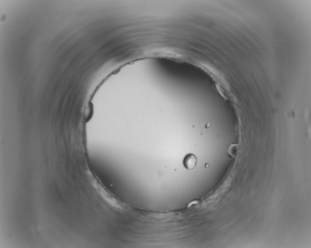 X0000073920816200609011807