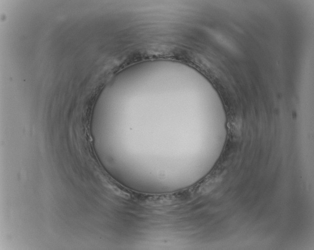 X0000073920817200609011807